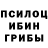 Псилоцибиновые грибы прущие грибы Bxbxb Bxbxb