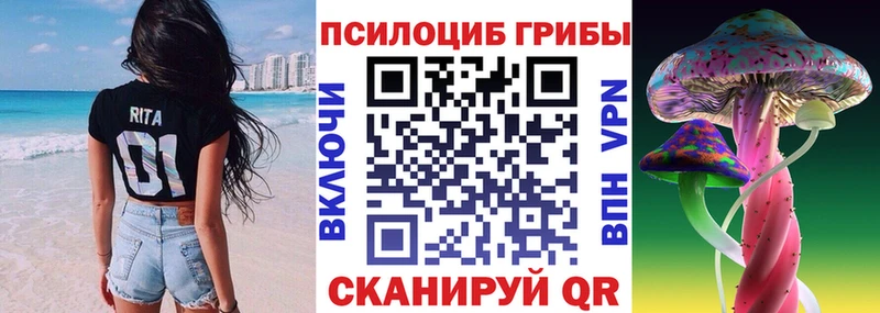 Купить где  Галич  Галлюциногенные грибы Psilocybine cubensis 