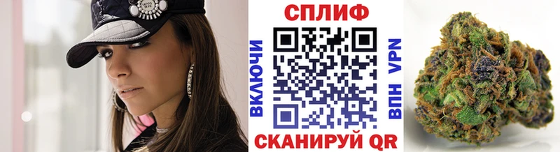 Купить  Галич  МАРИХУАНА Amnesia 